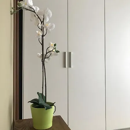 Lhg Studio Loft - Liguria Riva Ligure